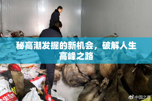 秘高潮发掘的新机会，破解人生高峰之路
