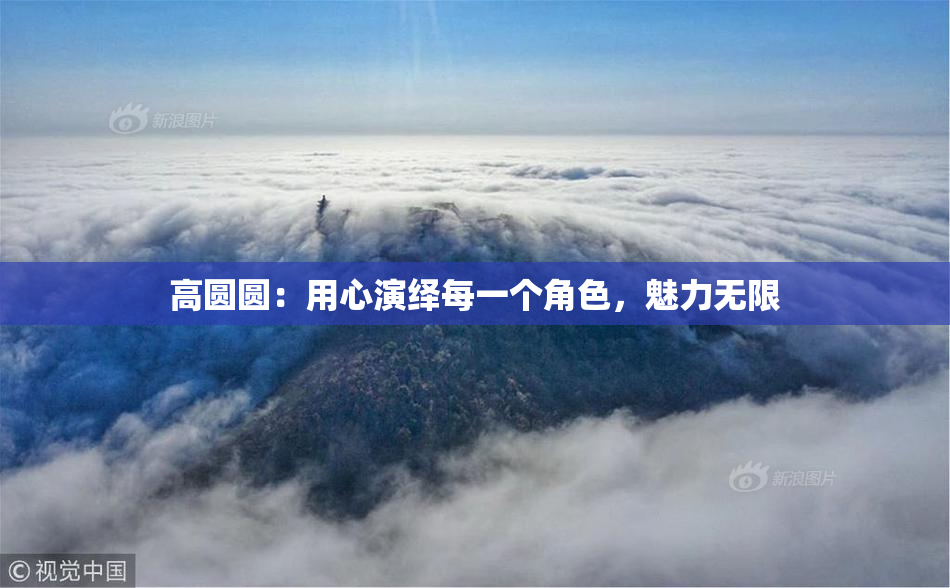 高圆圆：用心演绎每一个角色，魅力无限