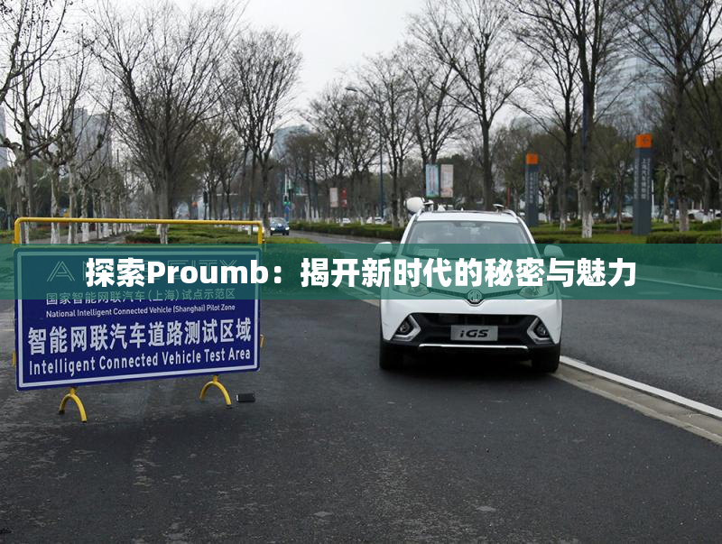 探索Proumb：揭开新时代的秘密与魅力