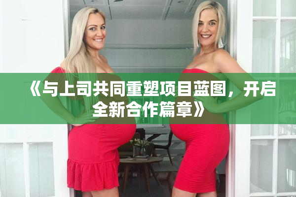 《与上司共同重塑项目蓝图，开启全新合作篇章》