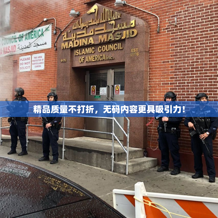 精品质量不打折，无码内容更具吸引力！