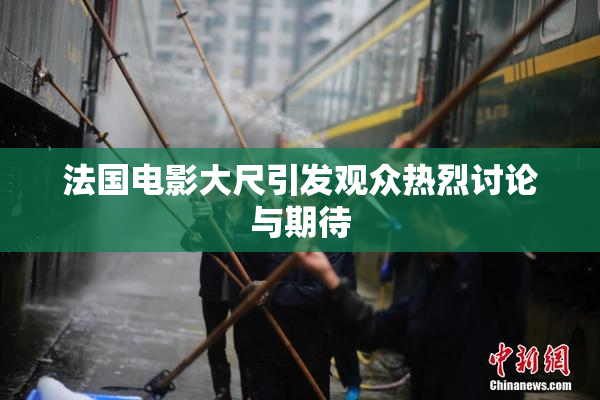 法国电影大尺引发观众热烈讨论与期待