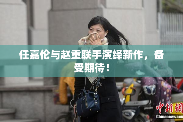 任嘉伦与赵重联手演绎新作，备受期待！