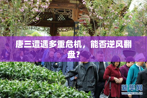 唐三遭遇多重危机，能否逆风翻盘？