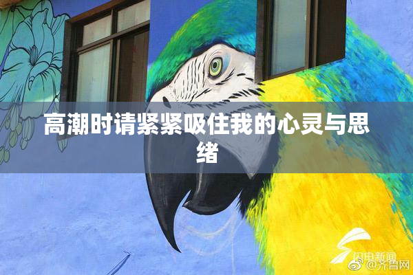 高潮时请紧紧吸住我的心灵与思绪