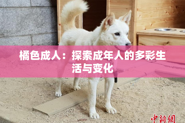橘色成人：探索成年人的多彩生活与变化