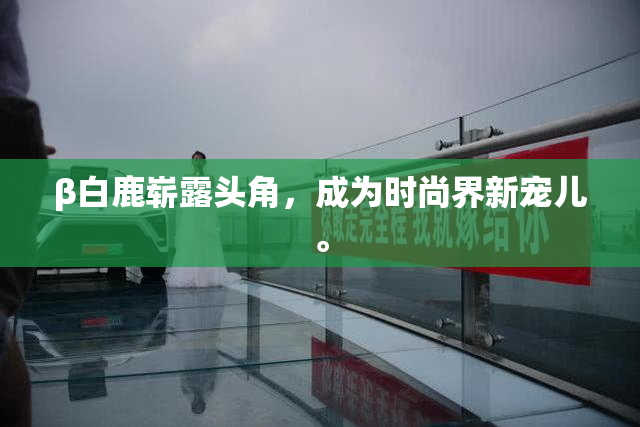 β白鹿崭露头角，成为时尚界新宠儿。