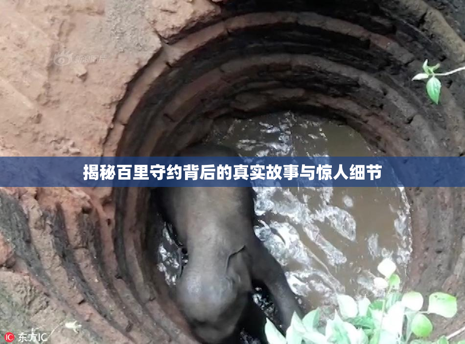 揭秘百里守约背后的真实故事与惊人细节