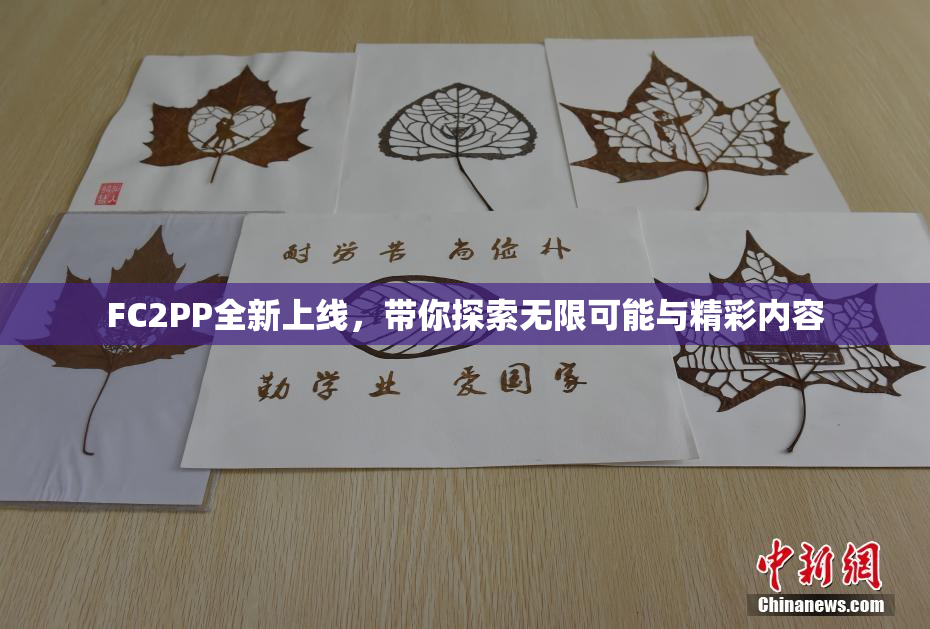 FC2PP全新上线，带你探索无限可能与精彩内容