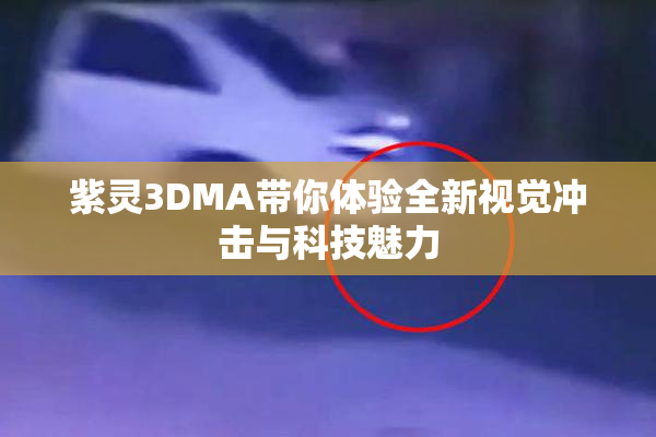 紫灵3DMA带你体验全新视觉冲击与科技魅力