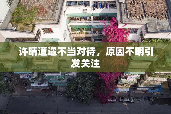 许晴遭遇不当对待，原因不明引发关注