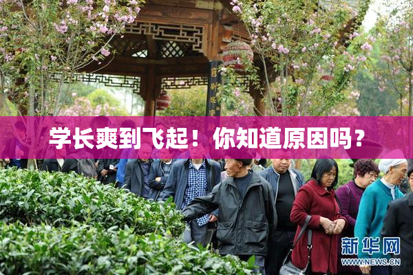 学长爽到飞起！你知道原因吗？