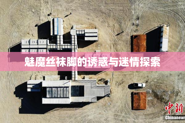 魅魔丝袜脚的诱惑与迷情探索