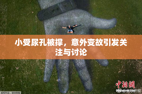 小受尿孔被撑，意外变故引发关注与讨论