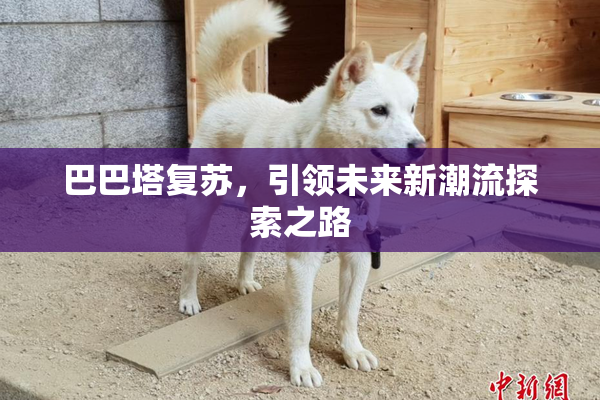 巴巴塔复苏，引领未来新潮流探索之路