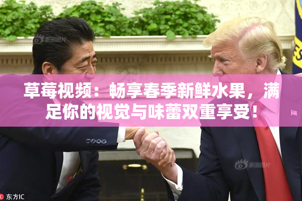 草莓视频：畅享春季新鲜水果，满足你的视觉与味蕾双重享受！