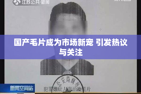 国产毛片成为市场新宠 引发热议与关注