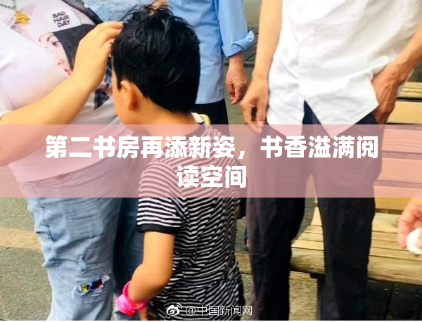 第二书房再添新姿，书香溢满阅读空间