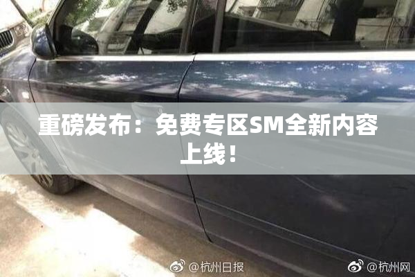 重磅发布：免费专区SM全新内容上线！