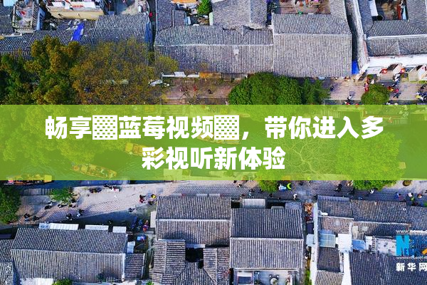 畅享▓蓝莓视频▓，带你进入多彩视听新体验