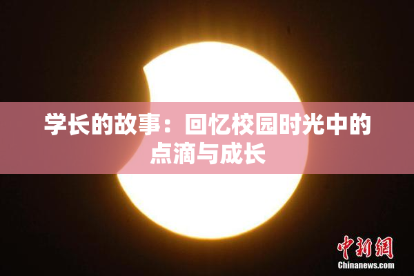 学长的故事：回忆校园时光中的点滴与成长