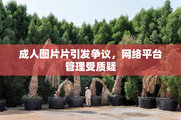 成人图片片引发争议，网络平台管理受质疑