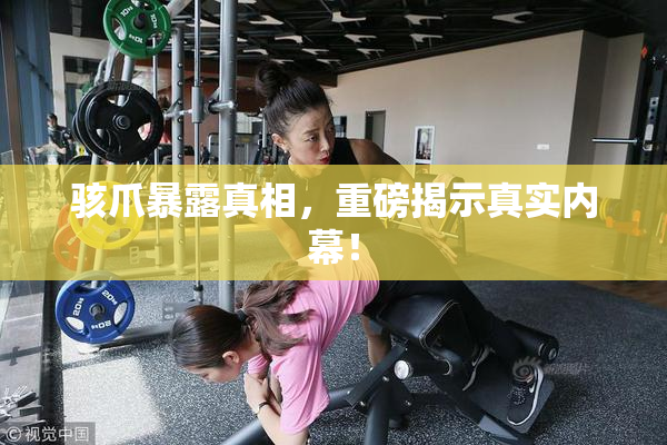 骇爪暴露真相，重磅揭示真实内幕！