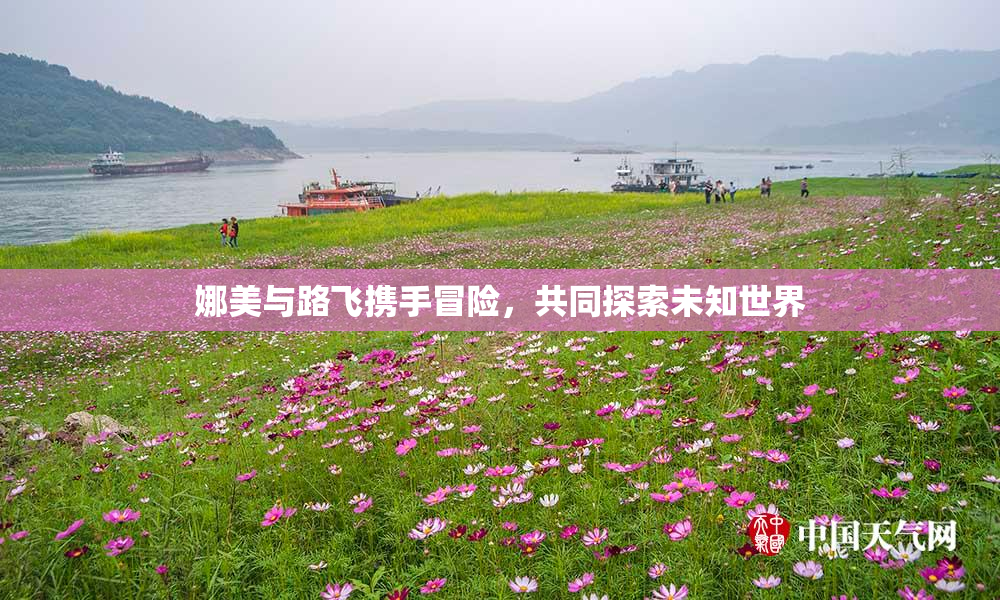 娜美与路飞携手冒险，共同探索未知世界