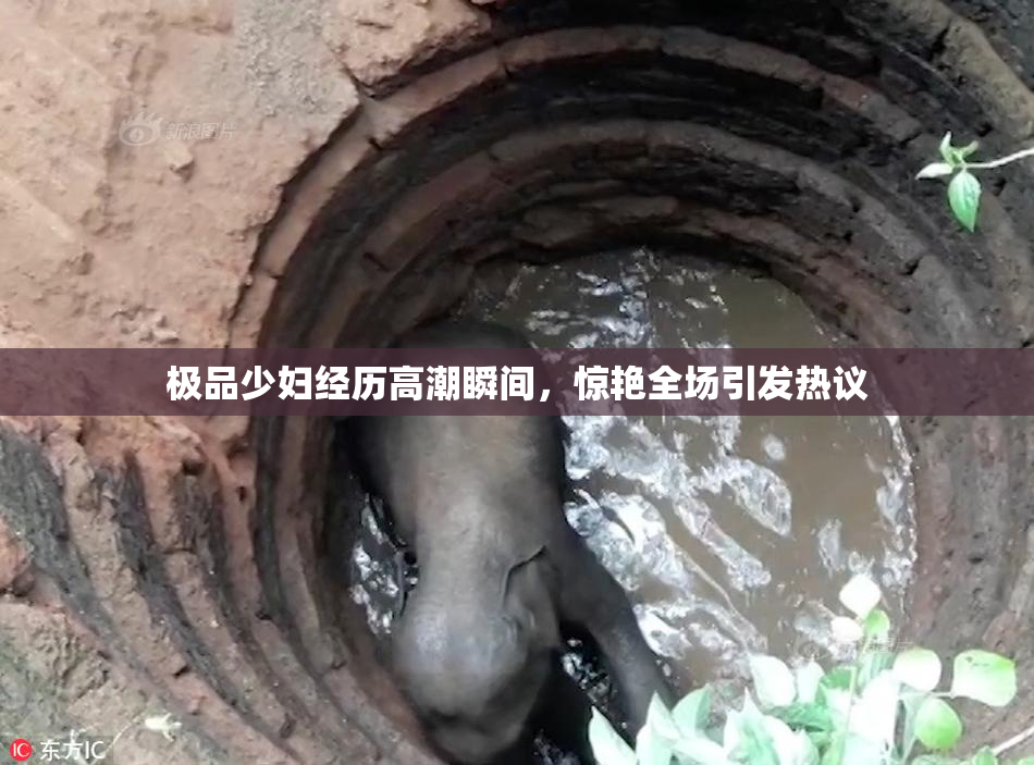 极品少妇经历高潮瞬间，惊艳全场引发热议