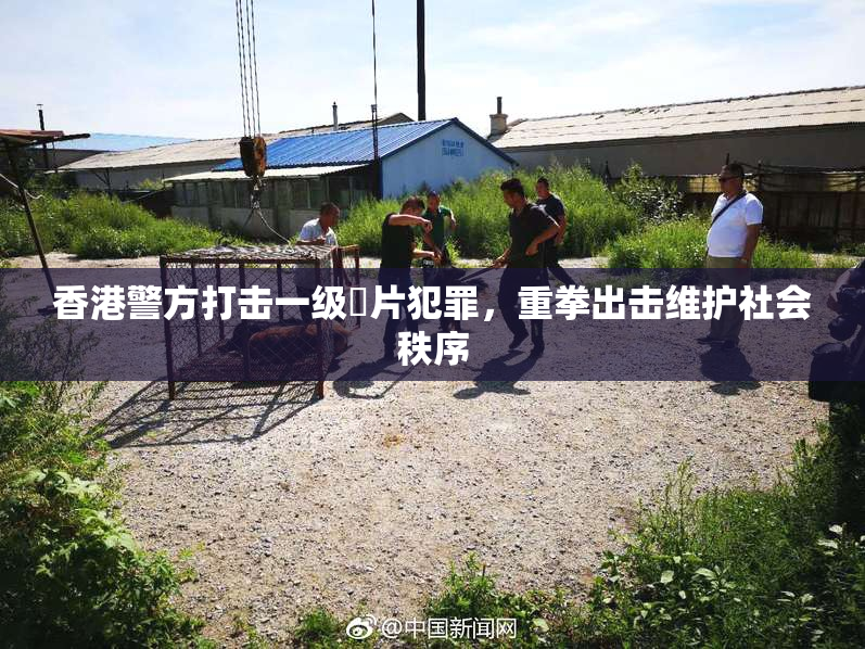 香港警方打击一级婬片犯罪，重拳出击维护社会秩序