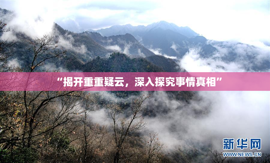 “揭开重重疑云，深入探究事情真相”