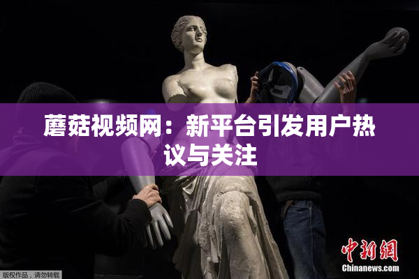 蘑菇视频网：新平台引发用户热议与关注
