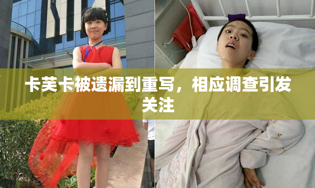 卡芙卡被遗漏到重写，相应调查引发关注