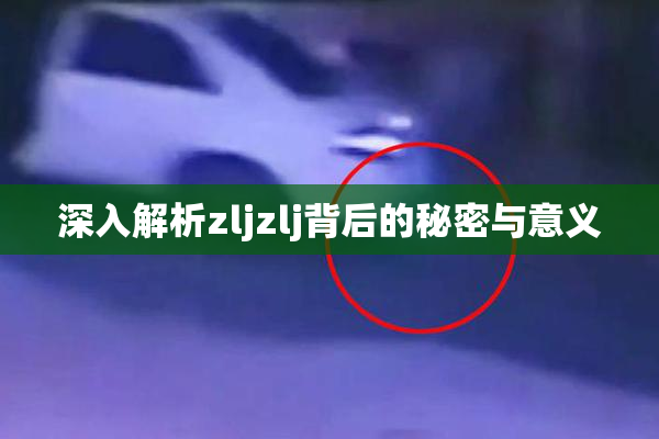 深入解析zljzlj背后的秘密与意义