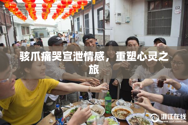 骇爪痛哭宣泄情感，重塑心灵之旅