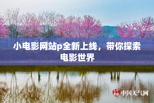 小电影网站p全新上线，带你探索电影世界