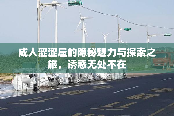 成人涩涩屋的隐秘魅力与探索之旅，诱惑无处不在