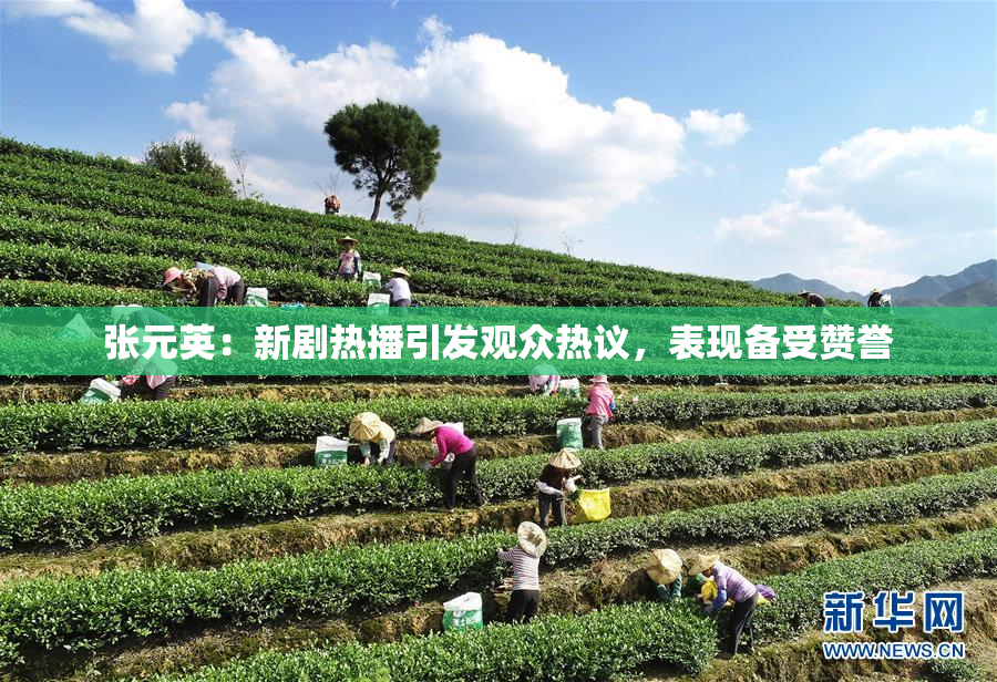 张元英：新剧热播引发观众热议，表现备受赞誉