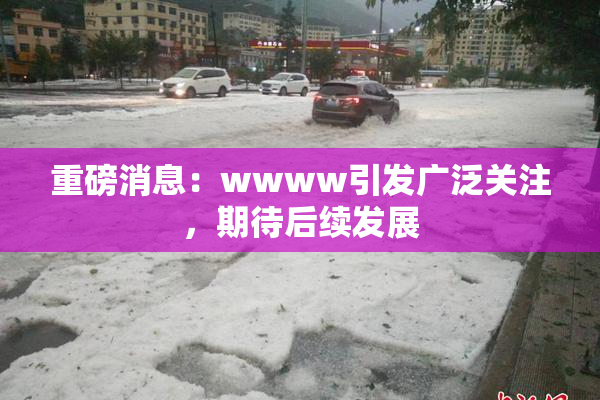 重磅消息：wwww引发广泛关注，期待后续发展