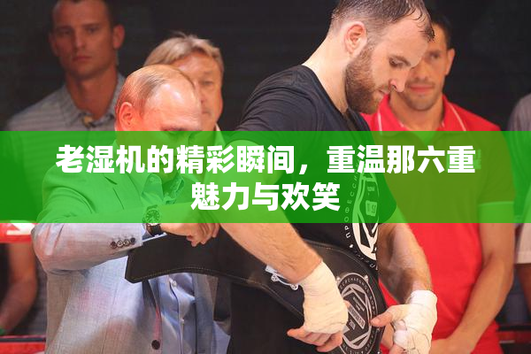 老湿机的精彩瞬间，重温那六重魅力与欢笑