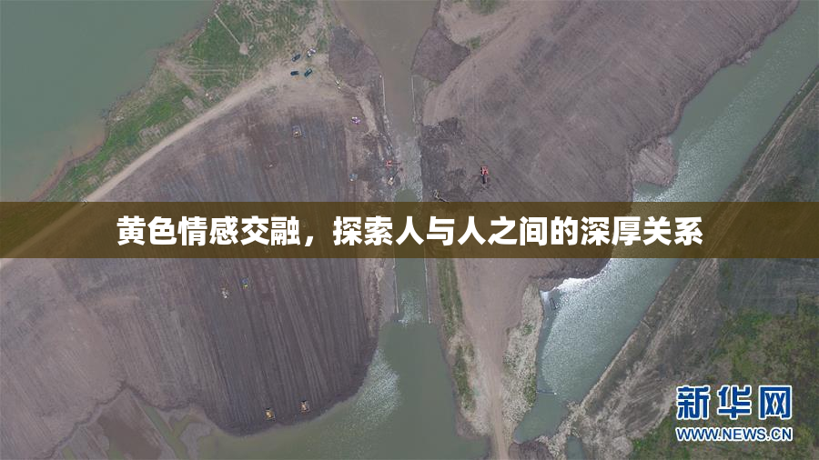 黄色情感交融，探索人与人之间的深厚关系