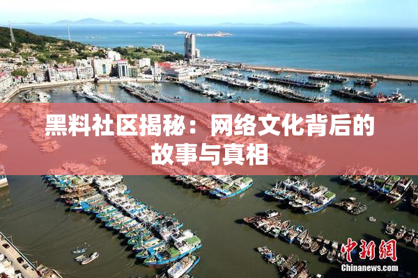 黑料社区揭秘：网络文化背后的故事与真相