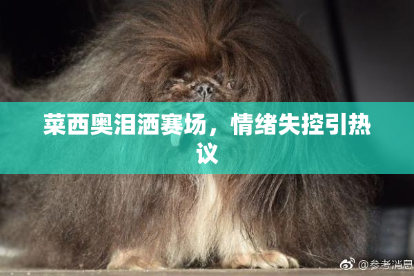 菜西奥泪洒赛场，情绪失控引热议