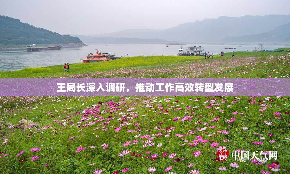 王局长深入调研，推动工作高效转型发展