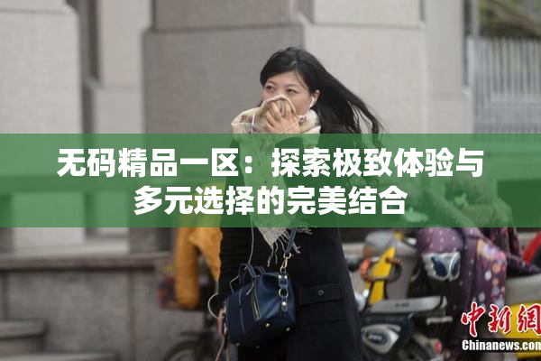 无码精品一区：探索极致体验与多元选择的完美结合