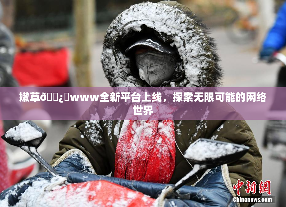 嫩草🌿‌www全新平台上线，探索无限可能的网络世界
