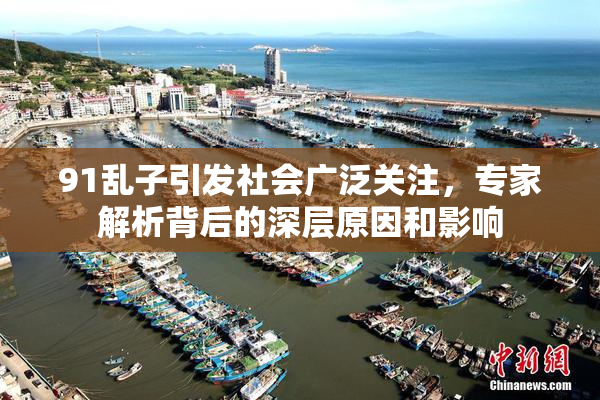 91乱子引发社会广泛关注，专家解析背后的深层原因和影响