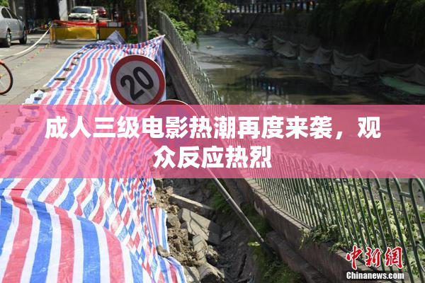 成人三级电影热潮再度来袭，观众反应热烈