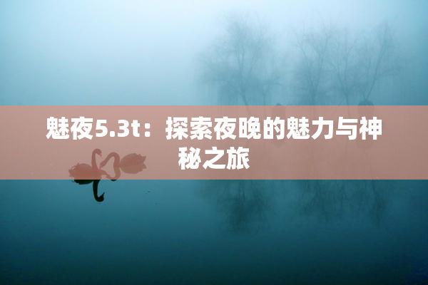 魅夜5.3t：探索夜晚的魅力与神秘之旅