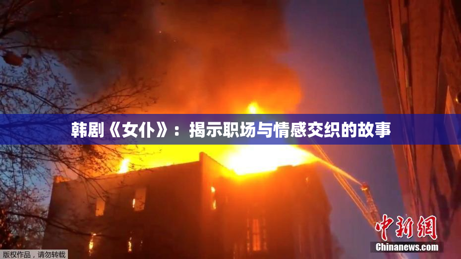 韩剧《女仆》：揭示职场与情感交织的故事